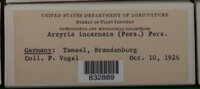 Image Associated With the Occurence